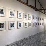 Reza Hedayat-Exhibition